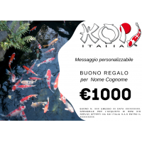 Buono regalo 1.000 euro